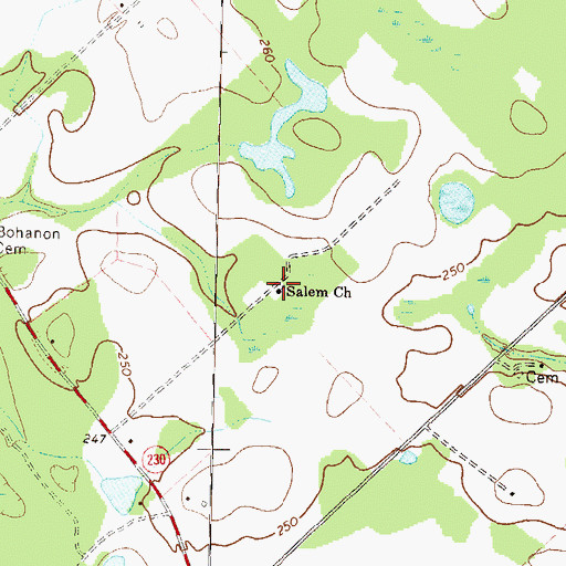 Topographic Map of Salem Church, GA