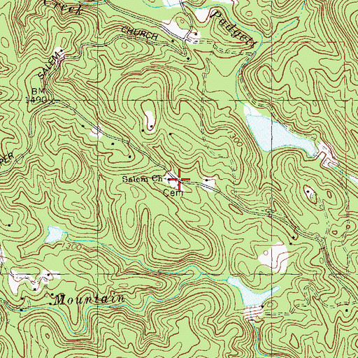 Topographic Map of Salem Church, GA