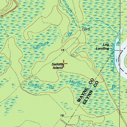 Topographic Map of Sallons Island, GA