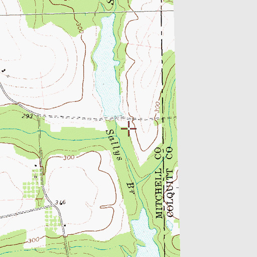 Topographic Map of Sallys Branch, GA
