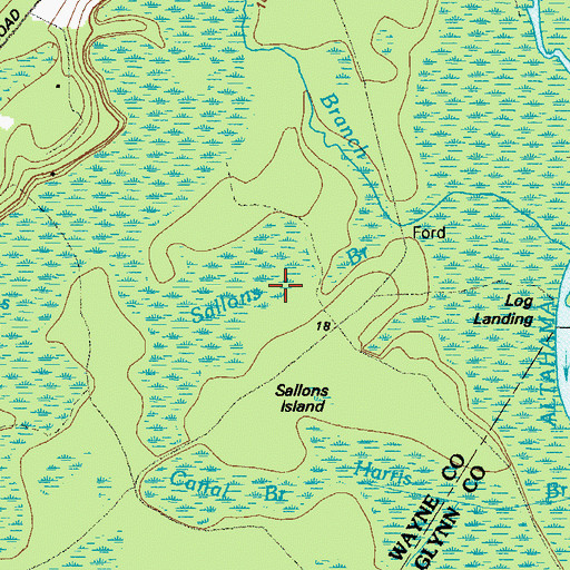 Topographic Map of Saltons Branch, GA