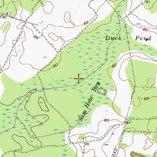 Topographic Map of Sam Hole Bay, GA