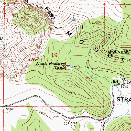 Topographic Map of Nash Pasture Tank, AZ