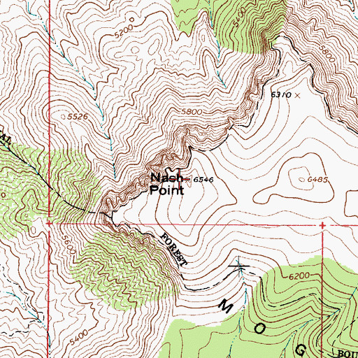 Topographic Map of Nash Point, AZ