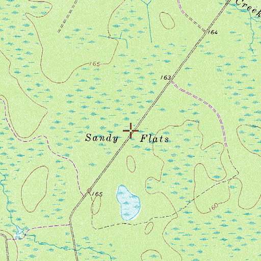 Topographic Map of Sandy Flats, GA