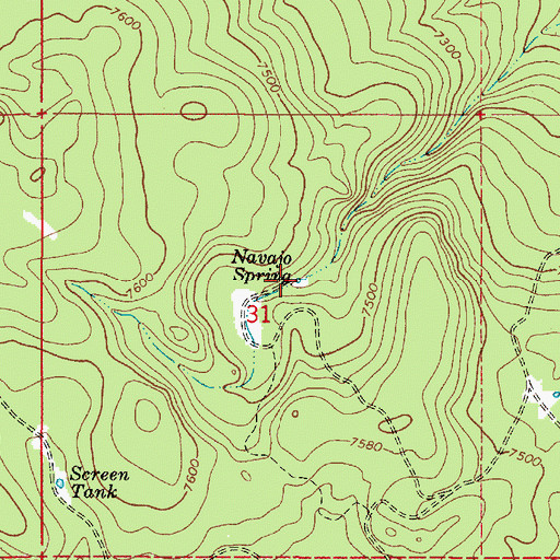 Topographic Map of Navajo Spring, AZ