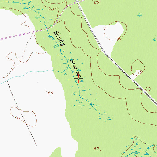 Topographic Map of Sandy Swamp, GA
