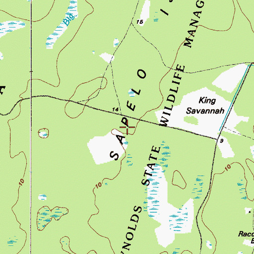 Topographic Map of Sapelo Island, GA