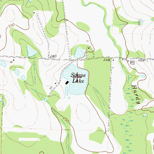 Topographic Map of Sapps Lake, GA