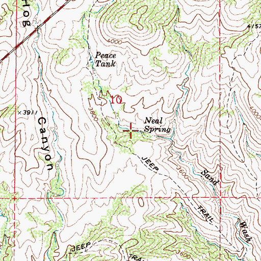 Topographic Map of Neal Spring, AZ