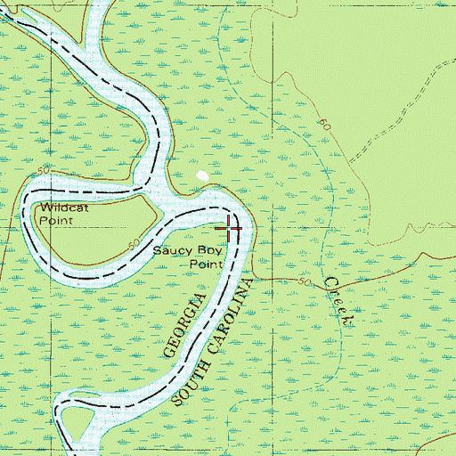 Topographic Map of Saucy Boy Point, GA