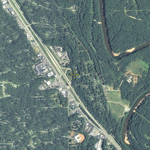 Aerial/Satellite Image of Savage Branch, GA