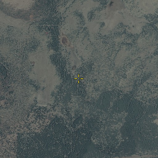Aerial/Satellite Image of Neal Spring, AZ