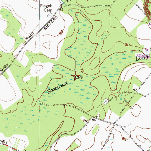 Topographic Map of Sawdust Bay, GA