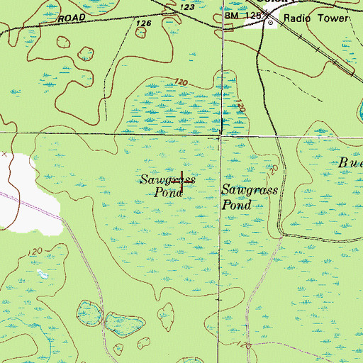Topographic Map of Sawgrass Pond, GA