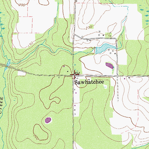 Topographic Map of Sawhatchee, GA