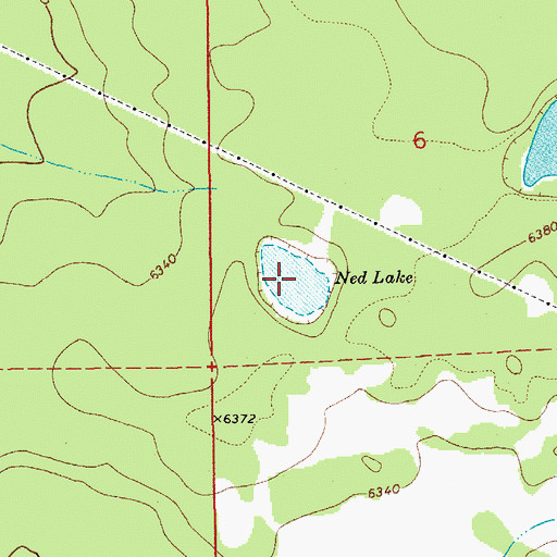 Topographic Map of Ned Lake, AZ