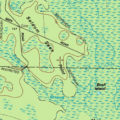 Topographic Map of Seldom Seen Point, GA
