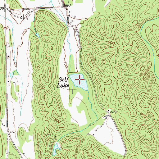 Topographic Map of Self Lake, GA