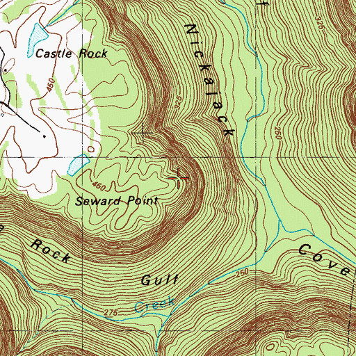 Topographic Map of Seward Point, GA