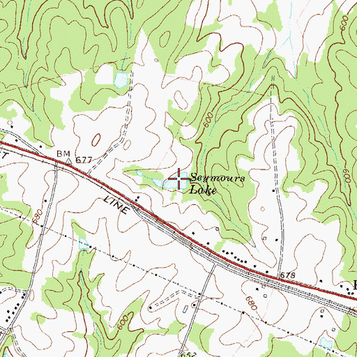 Topographic Map of Seymours Lake, GA