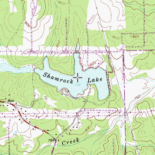 Topographic Map of Shamrock Lake, GA