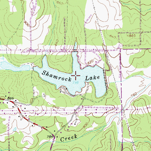 Topographic Map of Shamrock Lake, GA