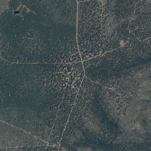 Aerial/Satellite Image of Nelson Lake, AZ