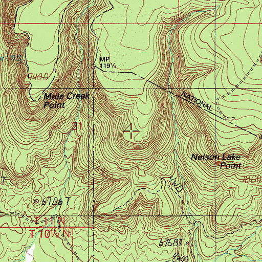 Topographic Map of Nelson Lake Point, AZ