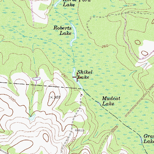 Topographic Map of Shikel Lake, GA