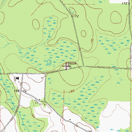 Topographic Map of Shiloh Church, GA