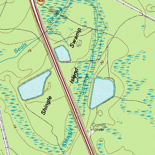 Topographic Map of Shingle Swamp Island, GA