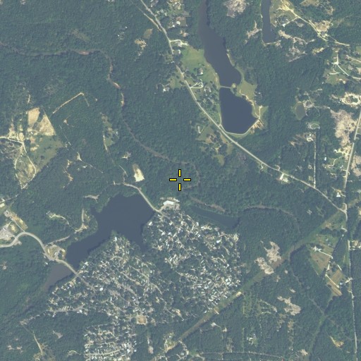 Aerial/Satellite Image of Shipley Branch, GA