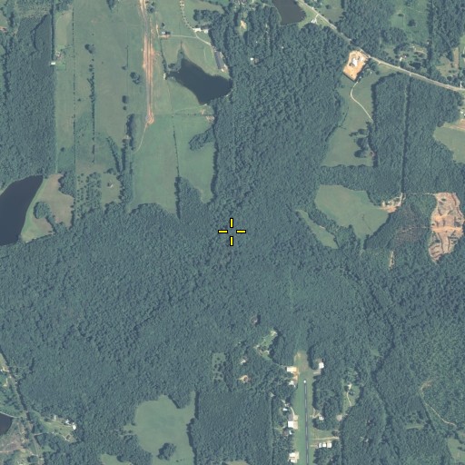 Aerial/Satellite Image of Shoal Creek, GA