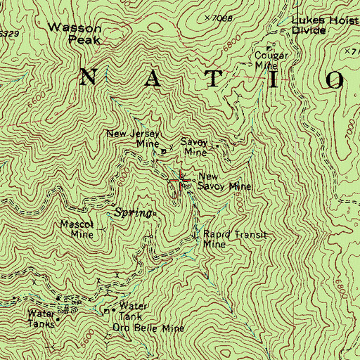 Topographic Map of New Savoy Mine, AZ