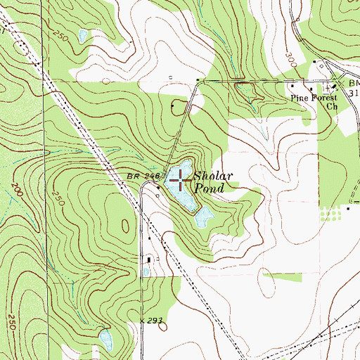 Topographic Map of Sholar Pond, GA