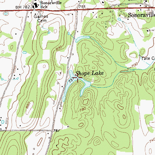 Topographic Map of Shope Lake, GA