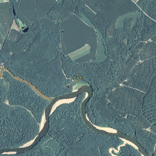Aerial/Satellite Image of Silver Bluff, GA
