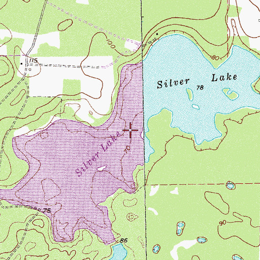 Topographic Map of Silver Lake, GA