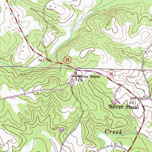 Topographic Map of Silver Shoal Church, GA