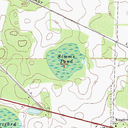 Topographic Map of Simms Pond, GA