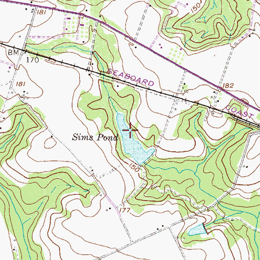 Topographic Map of Sims Pond, GA