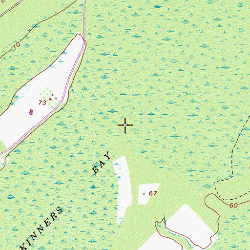 Topographic Map of Skinners Bay, GA