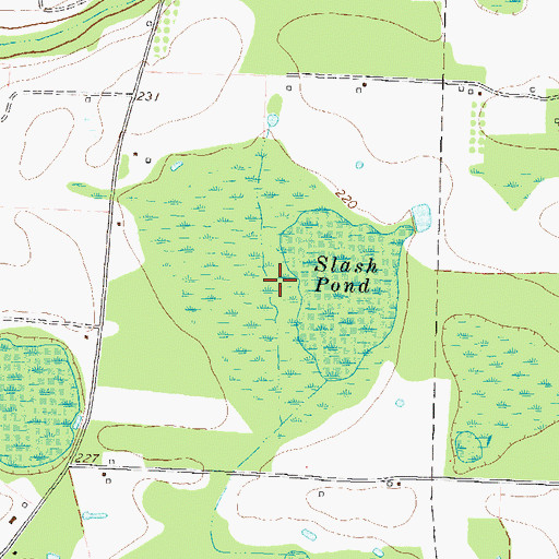 Topographic Map of Slash Pond, GA