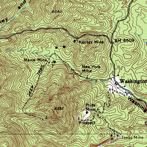 Topographic Map of New York Mine, AZ