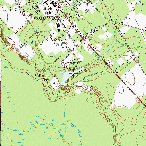 Topographic Map of Smiley Pond, GA