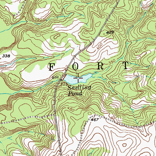 Topographic Map of Snelling Pond, GA