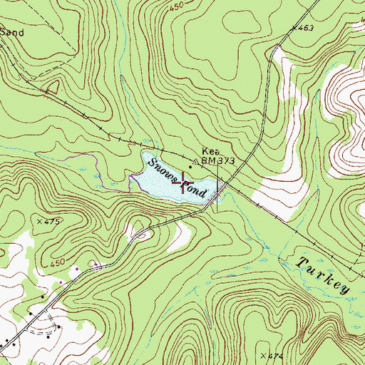 Topographic Map of Snows Pond, GA