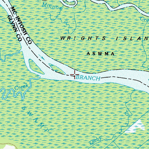 Topographic Map of South Branch South Altamaha River, GA