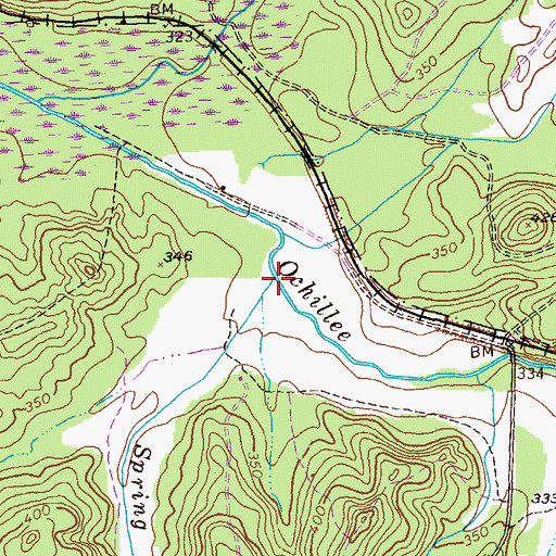 Topographic Map of Spring Branch, GA
